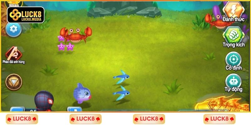 Luôn nhận được hỗ trợ khi tham gia săn cá Tiểu Tiên